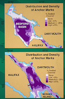 Maps showing the distribution and density of anchor marks
